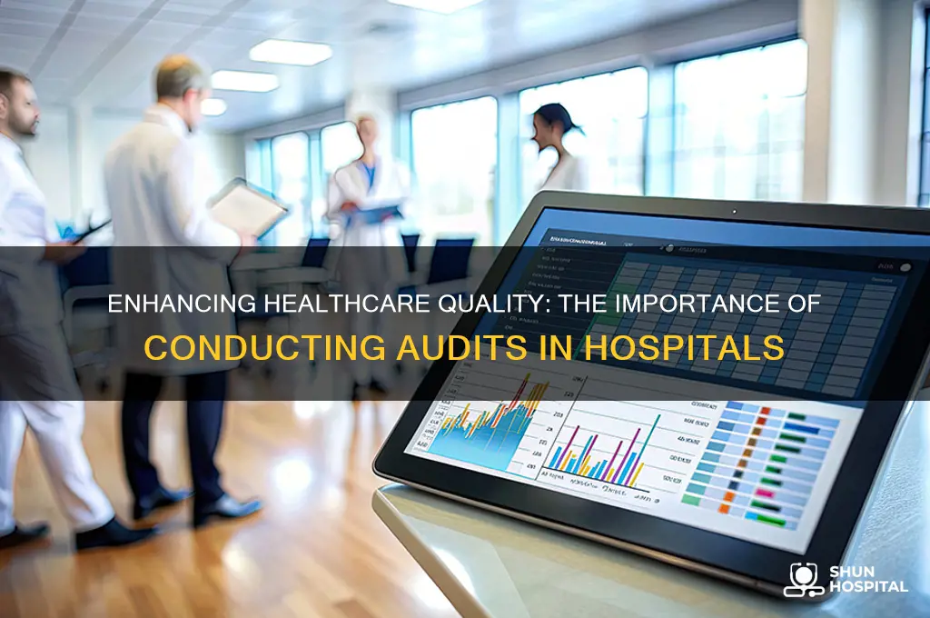 do audit in hospital