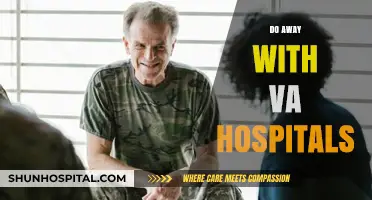 Reimagining Veterans' Healthcare: Beyond VA Hospitals for Better Support