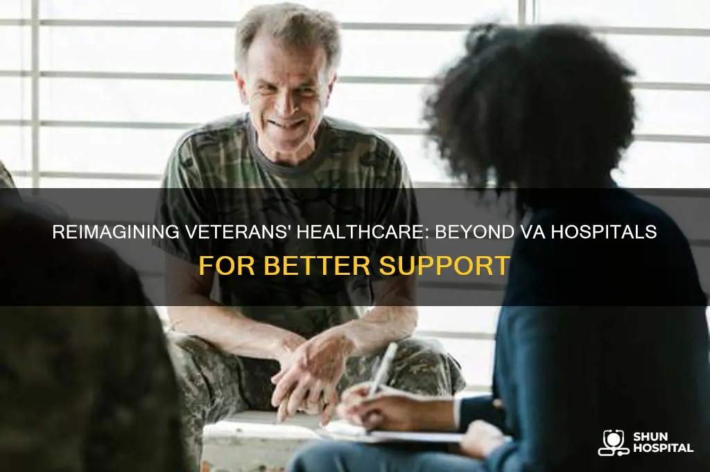 do away with va hospitals