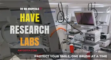 Exploring the Research Capabilities of Major Hospitals: Do They Have Labs?
