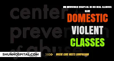 Do Browmen Hospital Domestic Violence Classes Exist in Normal, Illinois?