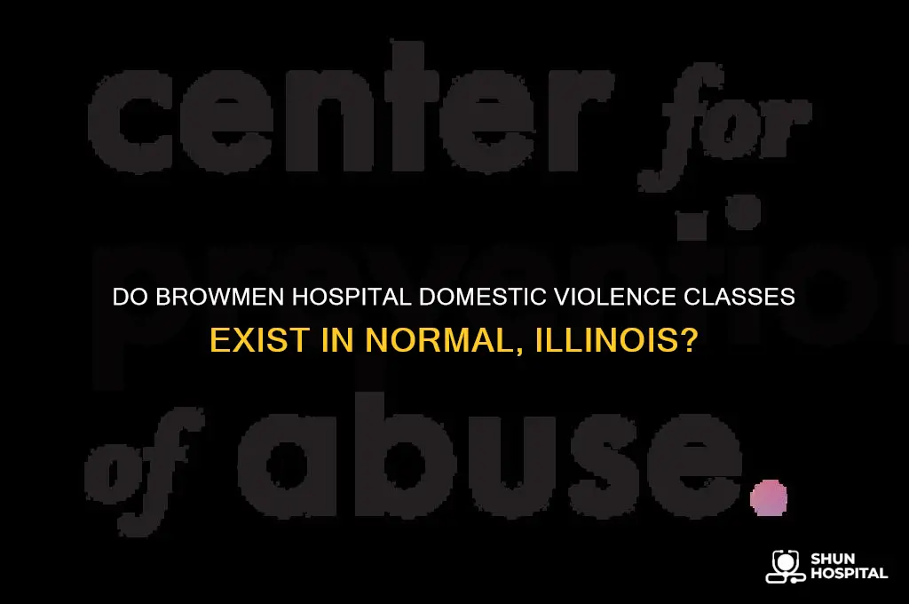 do browmen hospital in notmal illinous have domestic violent classes