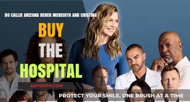Callie, Arizona, Derek, Meredith, Cristina: Hospital Buyers in Grey's Anatomy?