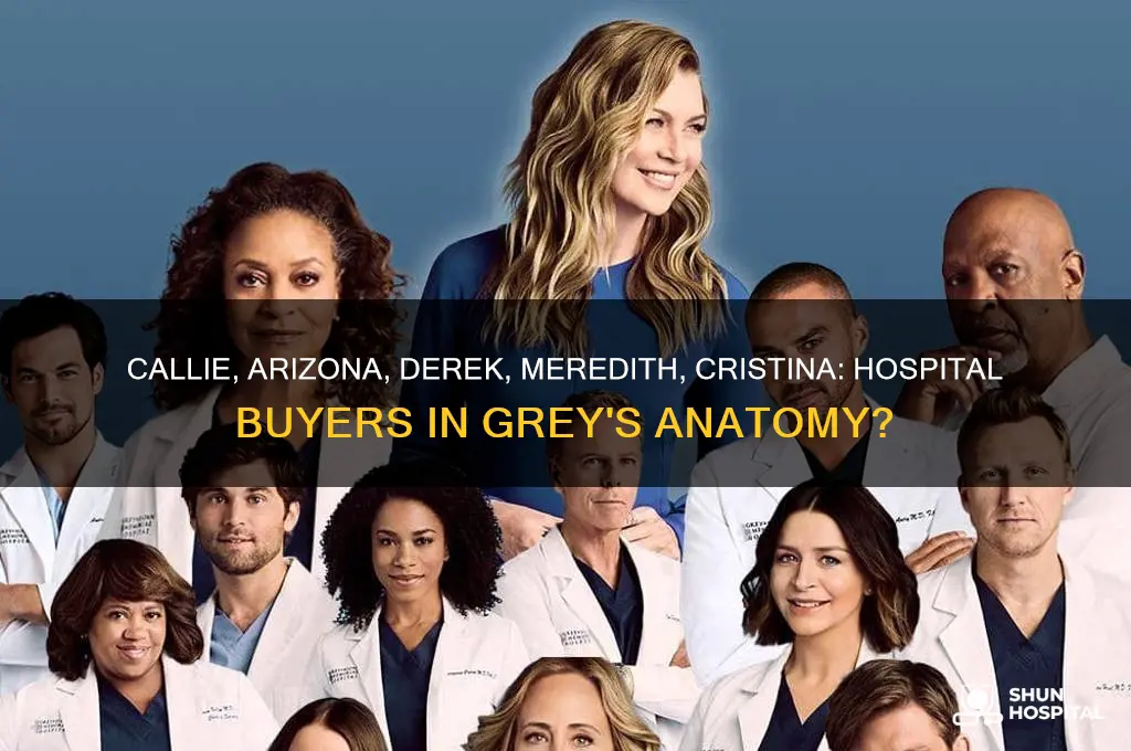 do callie arizona derek meredith and cristina buy the hospital