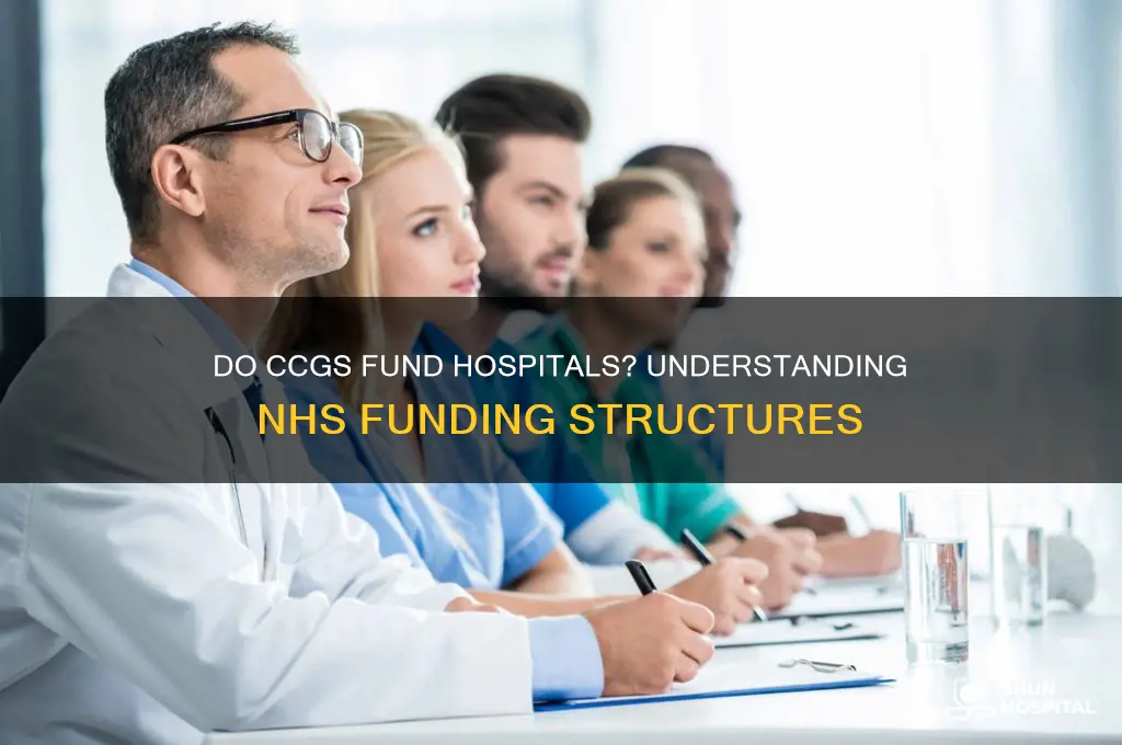 do ccgs fund hospitals