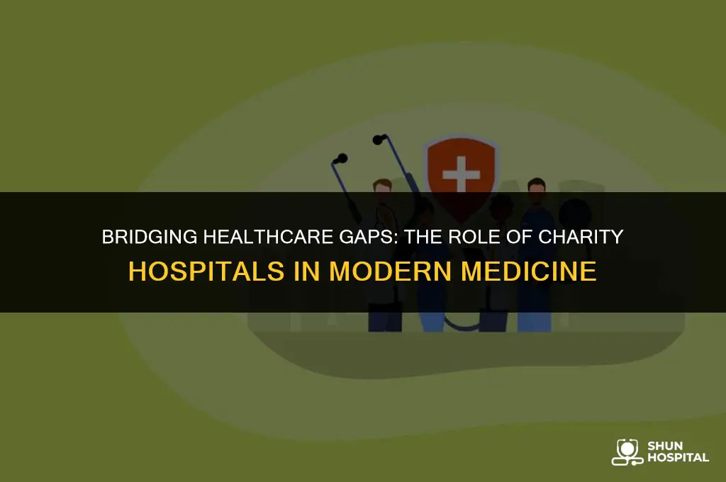 do charity hospitals pick up slack