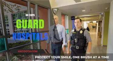 Do Cops Guard Hospitals? Exploring Police Presence in Healthcare Facilities