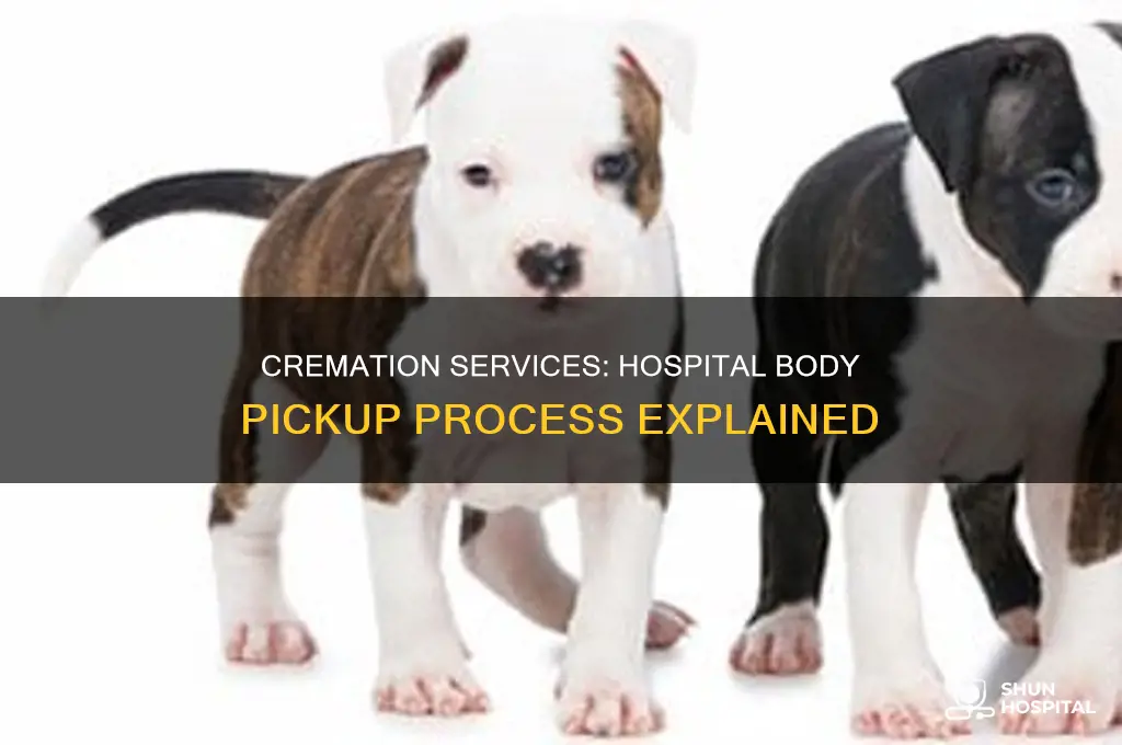 do cremation places pick up the body from the hospital