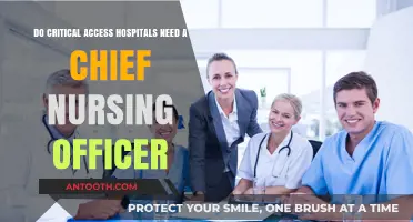 Chief Nursing Officers: Essential for Critical Access Hospital Success?