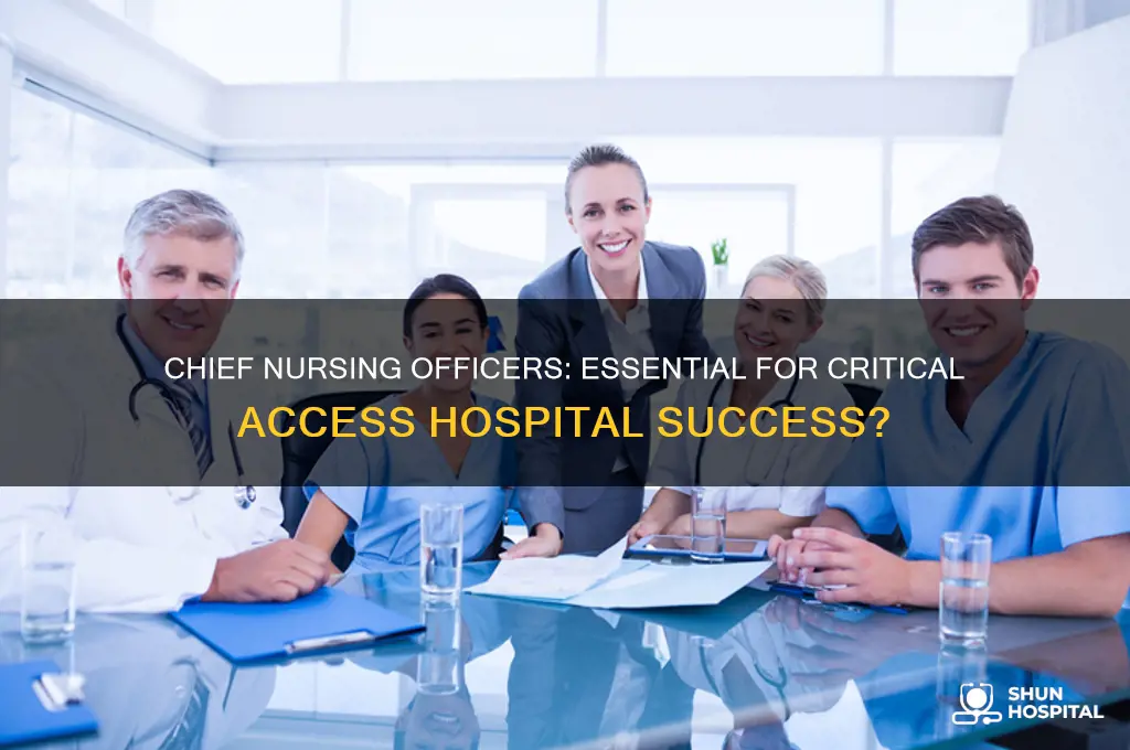 do critical access hospitals need a chief nursing officer