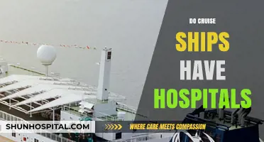 Cruise Ship Medical Facilities: Are There Hospitals Onboard?