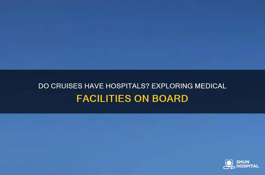 do cruises have hospitals