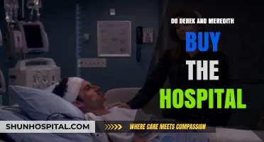 Meredith and Derek's Hospital Takeover: A Dream Come True