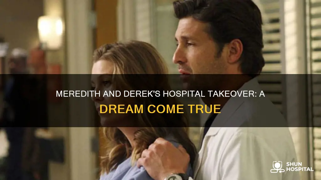 do derek and meredith buy the hospital