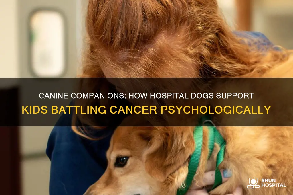 do dogs visiting hospitals help kids with cancer psychology