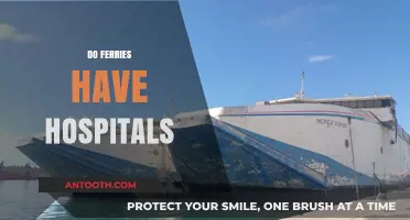 Do Ferries Have Hospitals? Exploring Onboard Medical Facilities and Care