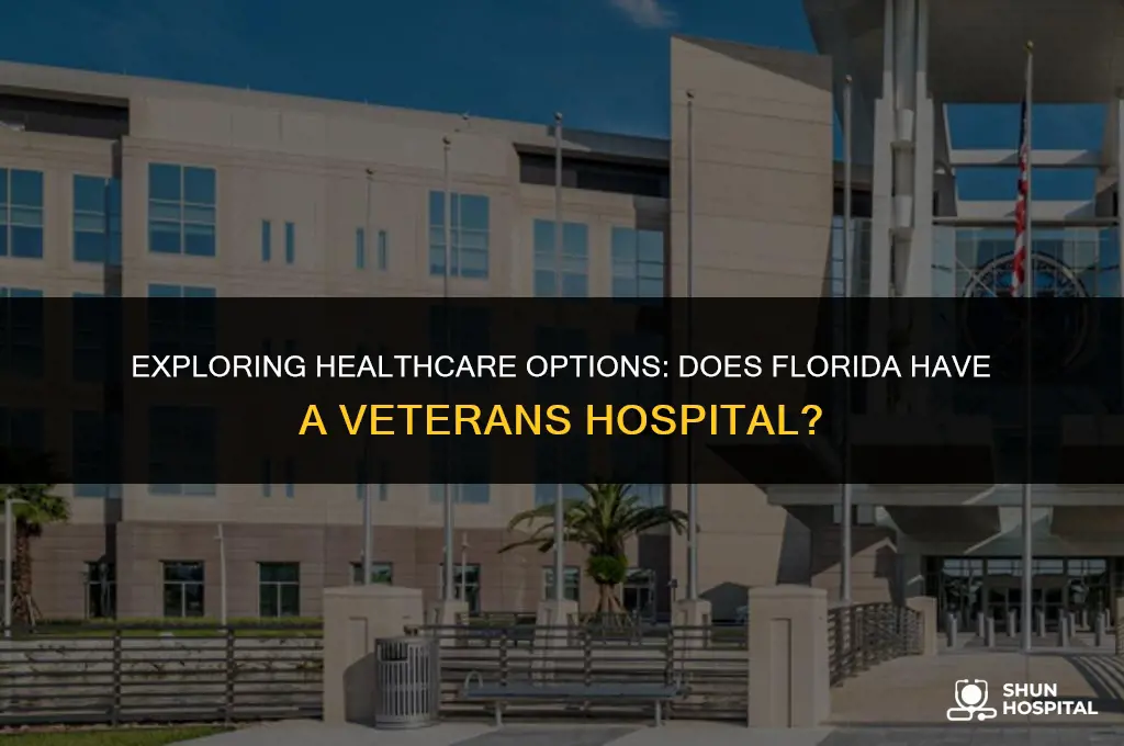 do florida have a veterans hospital