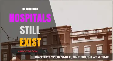 Do Foundling Hospitals Still Exist? Exploring Their Modern-Day Presence