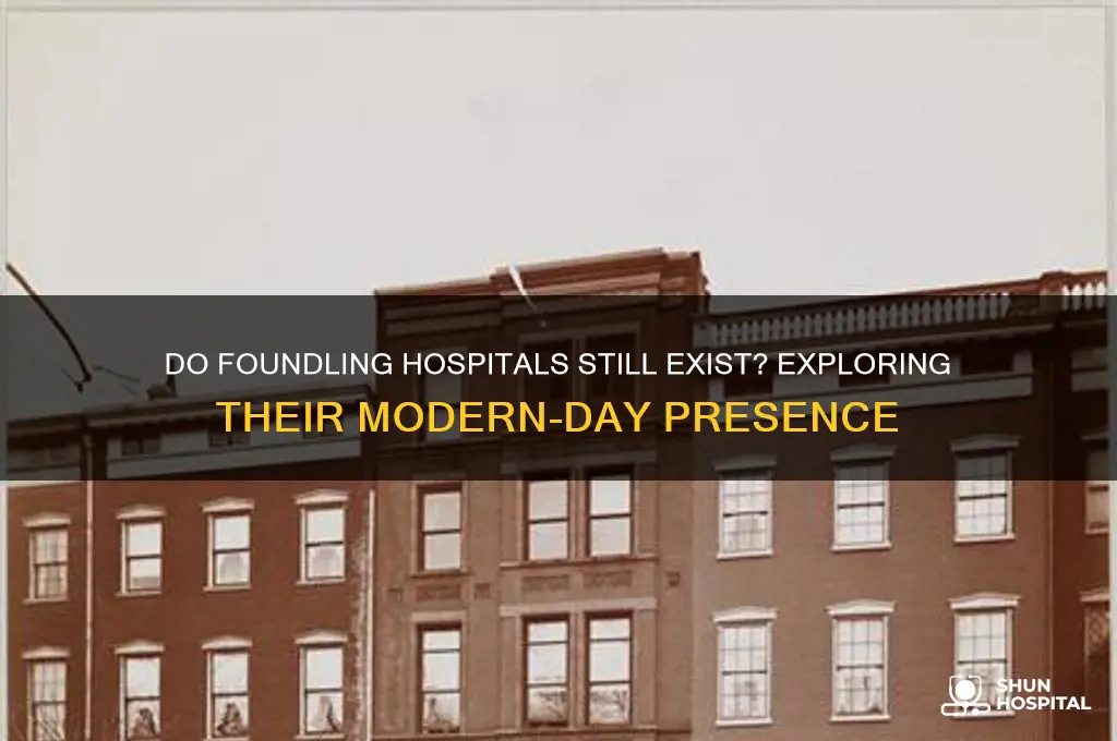 do foundling hospitals still exist