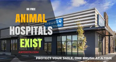 Exploring the Reality of Free Animal Hospitals: Do They Exist?
