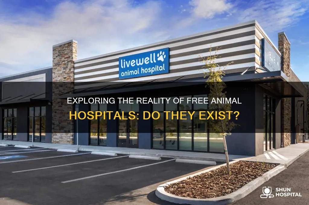 do free animal hospitals exist