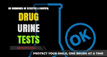 Can Hormones Be Detected in Standard Hospital Drug Urine Tests?