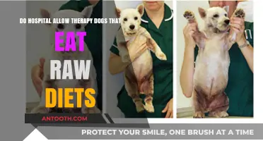Therapy Dogs on Raw Diets: Are Hospitals Open to This Practice?