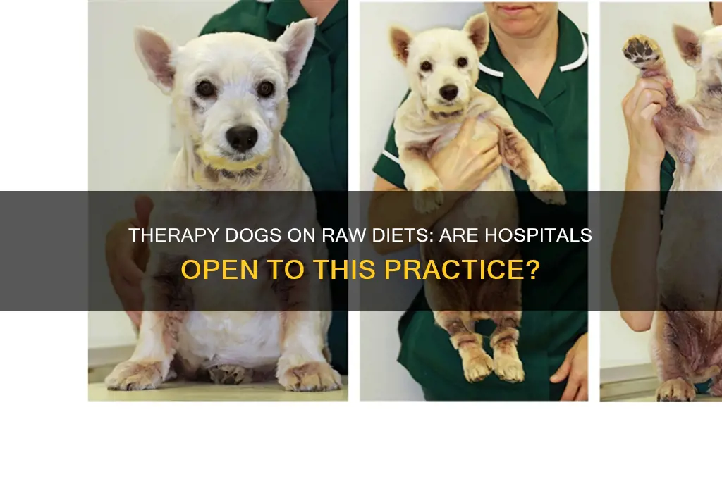 do hospital allow therapy dogs that eat raw diets