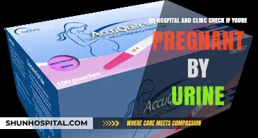 How Hospitals and Clinics Use Urine Tests to Confirm Pregnancy
