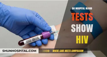 Decoding HIV Detection: What Hospital Blood Tests Reveal