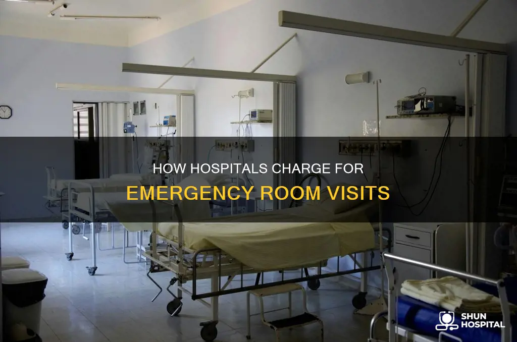 do hospital charge emergency room by hour