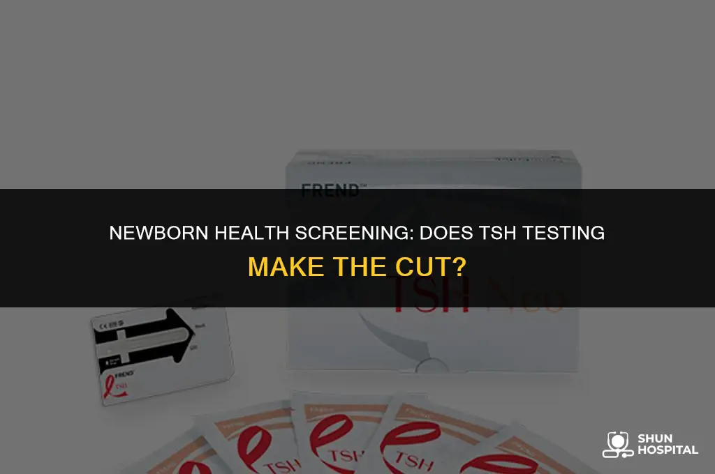 do hospital check tsh for newborns