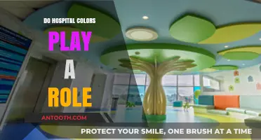 The Impact of Hospital Color Schemes on Patient Experience and Healing