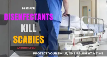 Hospital Disinfectants and Scabies: Do They Effectively Kill the Mites?
