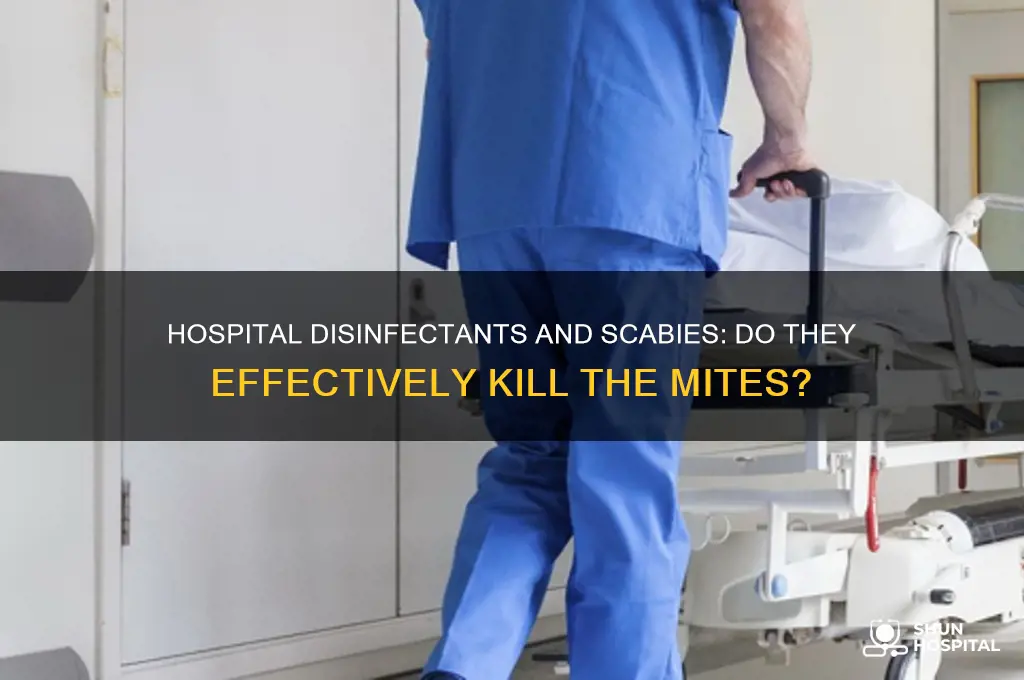 do hospital disenfectants kill scabies
