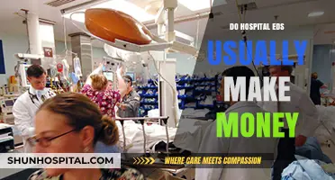 Unveiling the Financial Dynamics of Hospital Emergency Departments