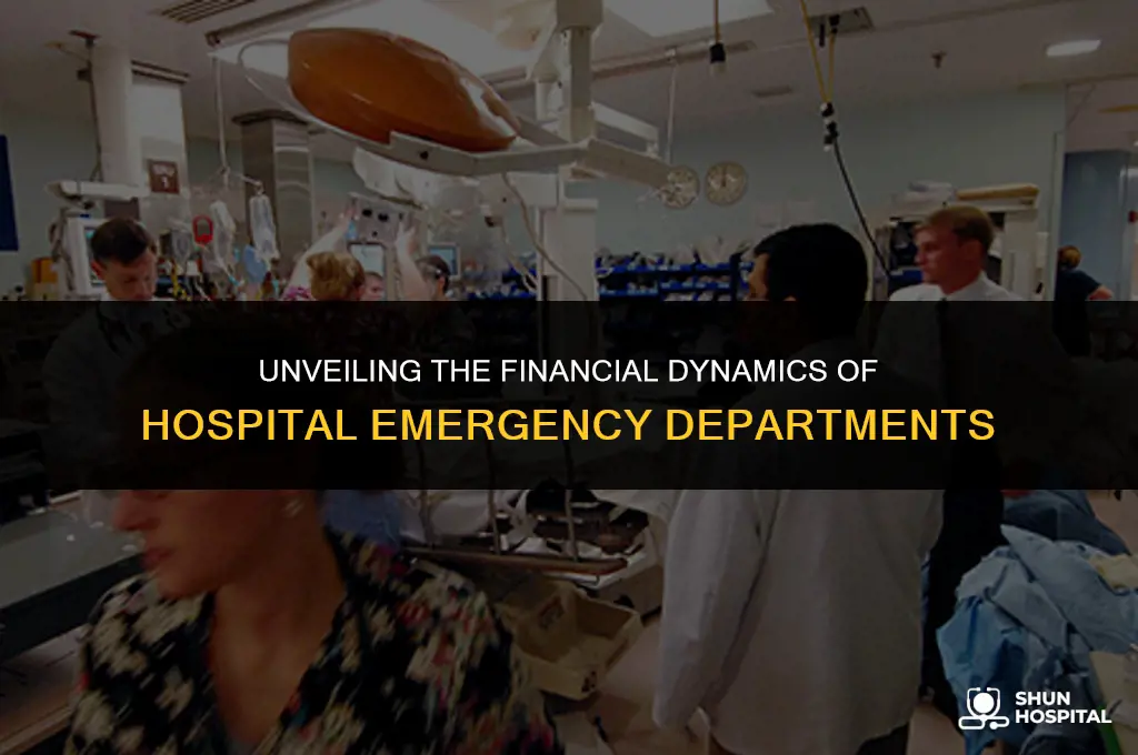 do hospital eds usually make money