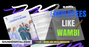 Do Hospital Employees Like Wambi? Insights and Opinions Revealed