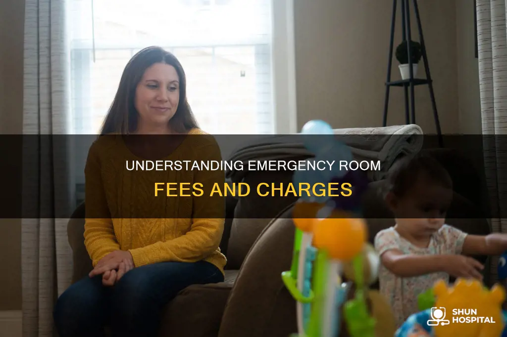 do hospital er charge for time there