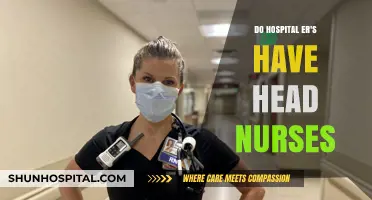 Head Nurses in ER: Who's in Charge of Emergency Care?
