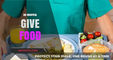 Hospital Meals: What to Expect During Your Stay