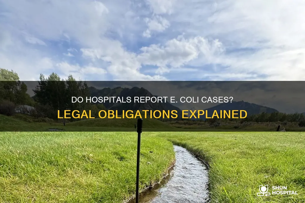 do hospital have to report cases of e coli
