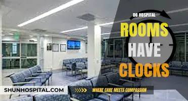 Do Hospital Rooms Have Clocks? Exploring Timekeeping in Patient Spaces