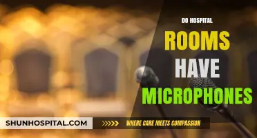Are Hospital Rooms Listening? Exploring Microphone Presence in Patient Spaces