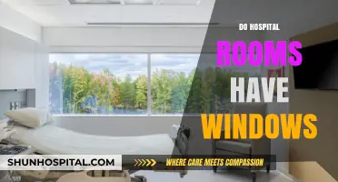 Do Hospital Rooms Have Windows? Exploring Design and Patient Well-being