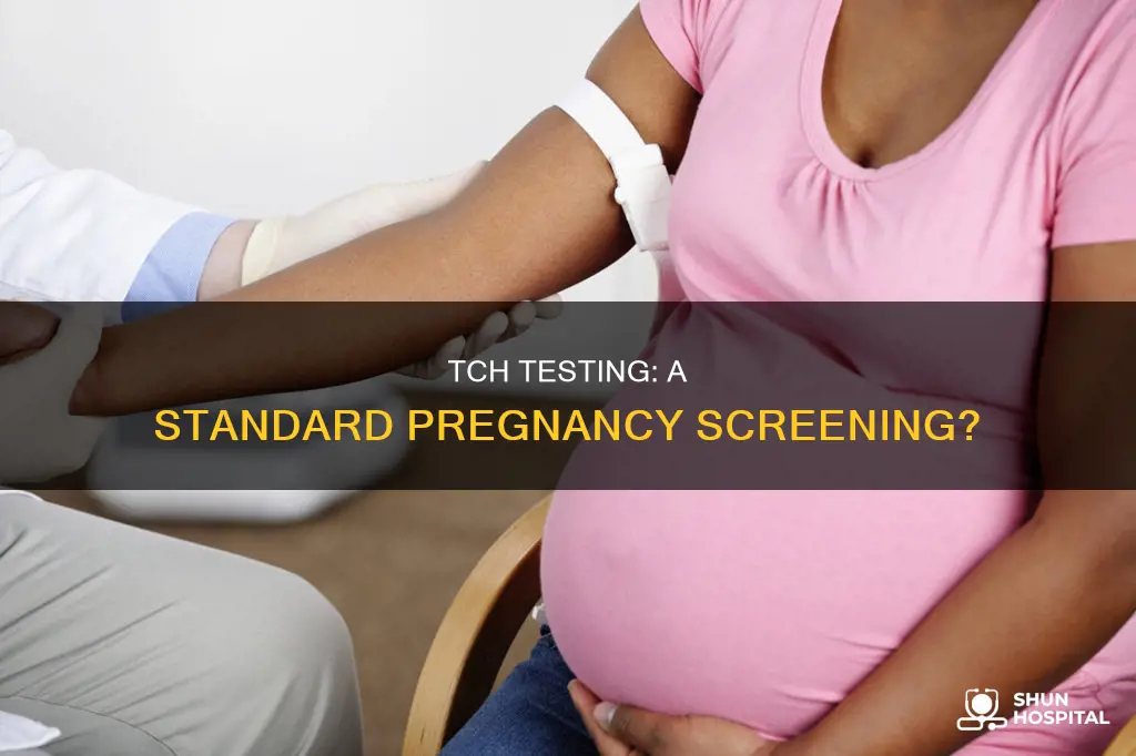 do hospital test for tch during pregnacy