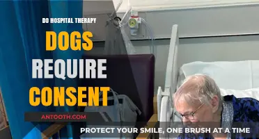 Do Hospital Therapy Dogs Require Consent: Exploring Patient Rights and Animal Welfare