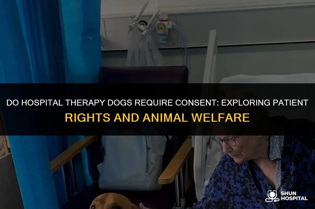 do hospital therapy dogs require consent