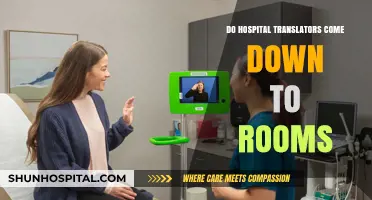 How Accessible Are Hospital Translators?