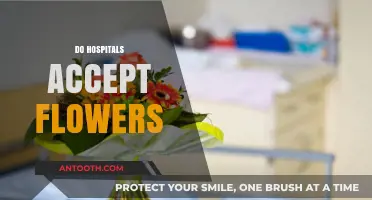 Can You Bring Flowers to Hospitals? Policies and Considerations Explained